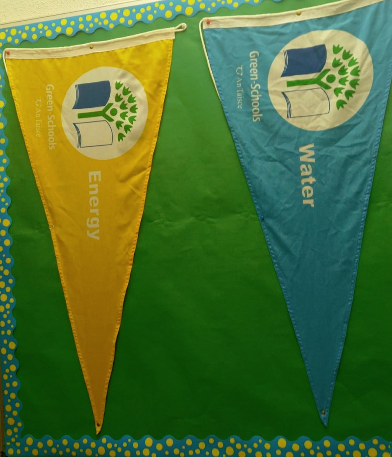 Green Schools Flag Sandylane NS